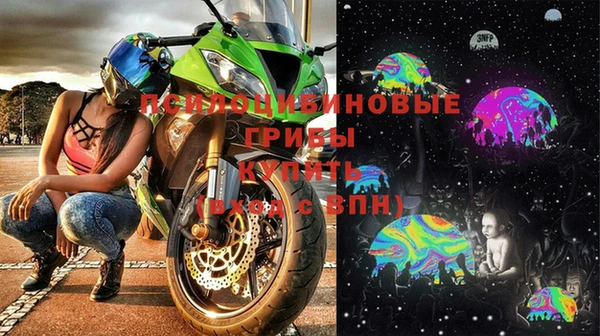 ГАЛЛЮЦИНОГЕННЫЕ ГРИБЫ Алзамай